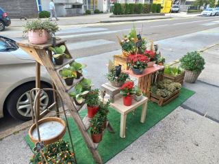 Fleuriste Comme une Fleur ... 0