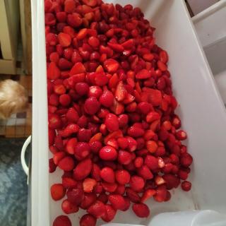 Fleuriste Scea DE LA TUILERIE - BRUNET FABIEN 0