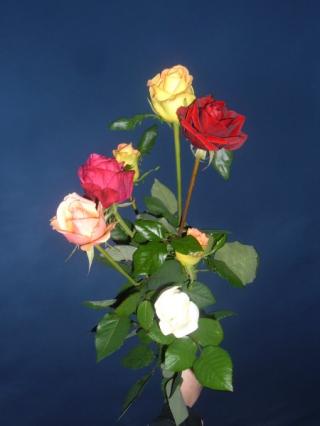 Fleuriste Les Roses de la Charrie 0