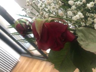 Fleuriste Enzo Fleurs 0