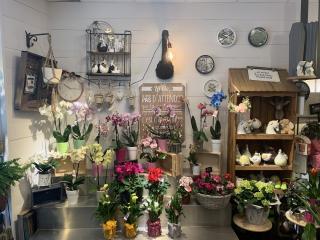 Fleuriste Ripa Fleurs - Fleuriste - Rive de Gier 0