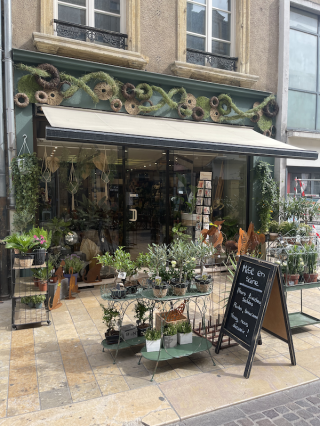 Fleuriste Mise En Scene Thionville 0