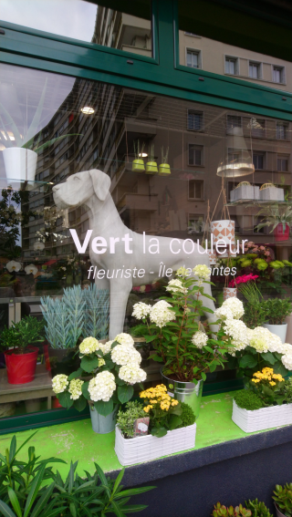 Fleuriste Fleuriste Nantes - Vert la Couleur 0