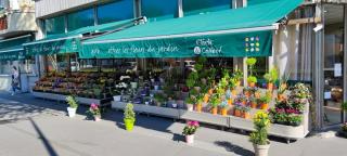 Fleuriste Le Jardin des Fleurs 0
