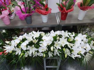 Fleuriste Fleur't avec le Dit vin 0