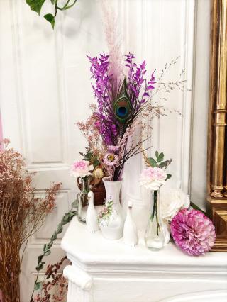 Fleuriste Ficus Pocus 0