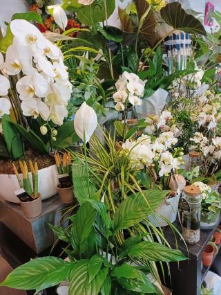 Fleuriste Capucine 0