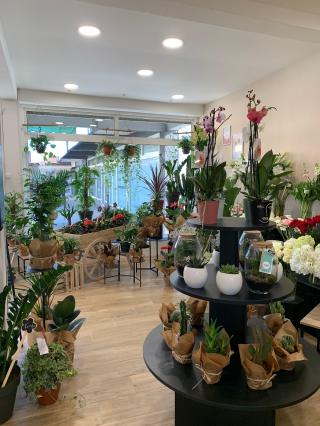 Fleuriste La Rose de Montesoro 1