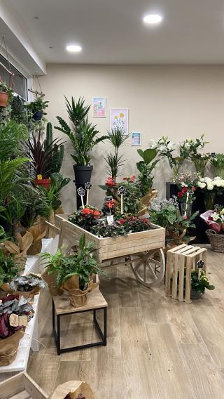 Fleuriste La Rose de Montesoro 0