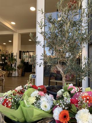 Fleuriste La Rose de Montesoro 0