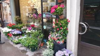 Fleuriste Fleuriste Vert Pré 0