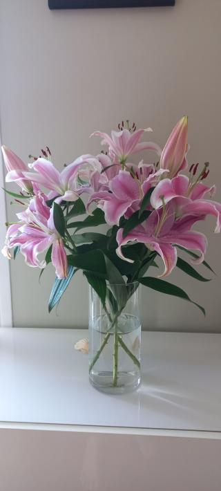 Fleuriste Da Silva Lopes Manuel 0