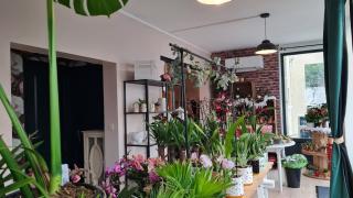 Fleuriste Mademoiselle Pivoines 0