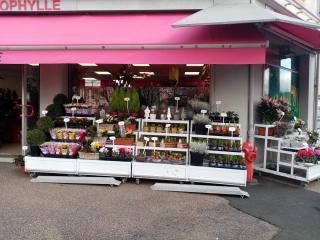 Fleuriste Chlorophylle 0