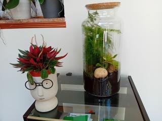 Fleuriste L'ART Ô ZOIR 0