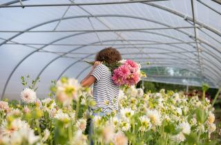 Fleuriste Ferme de Lescinquit 0