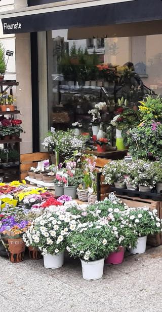 Fleuriste Les Fleurs de Cristina - Fleuriste 0