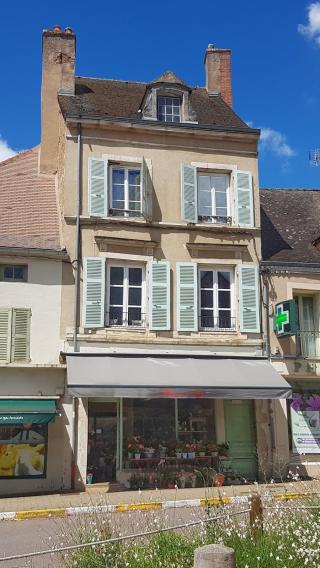 Fleuriste Fleurs Plus 0