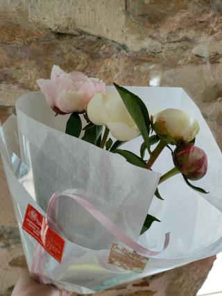 Fleuriste Passion Fleurs - Gleizé 0