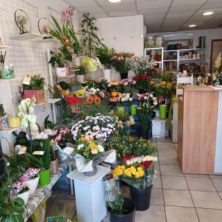 Fleuriste Fleurs et Pêche 0