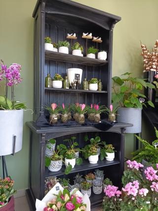 Fleuriste Monceau Fleurs 0