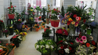 Fleuriste Stéphane fleurs ( MICHEL) 1