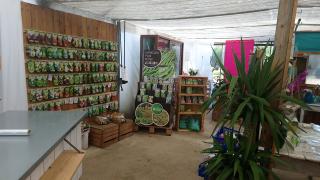 Fleuriste Maison Lamy 0