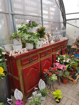 Fleuriste Horticulture Burckel 0