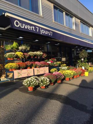 Fleuriste Monceau Fleurs SAS AMANY Franchisé indépendant 0