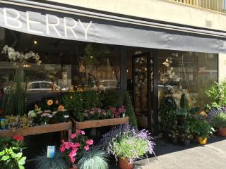 Fleuriste Berry fleurs de Biarritz 0