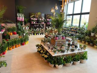 Fleuriste Bellafleur 1