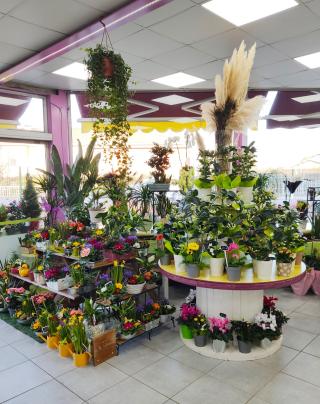 Fleuriste L'Océane Des Fleurs 0