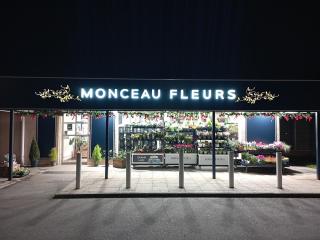 Fleuriste Monceau Fleurs 0