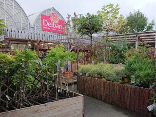 Fleuriste Halle O Fleurs - Jardinerie Delbard 0