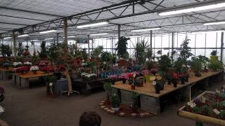 Fleuriste Nadine Fleurs 0