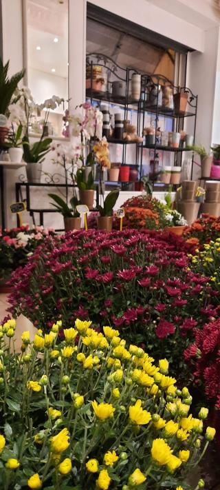 Fleuriste Allons Conter Fleurette 0