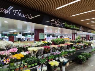 Fleuriste PANCHER FLEURS Enghien Les Bains 0