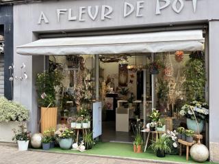 Fleuriste A Fleur de Pot 0