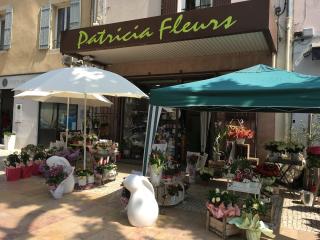 Fleuriste Patricia Fleurs, Pâquerette & Pimprenelle 0