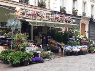 Fleuriste Les Floralies 0