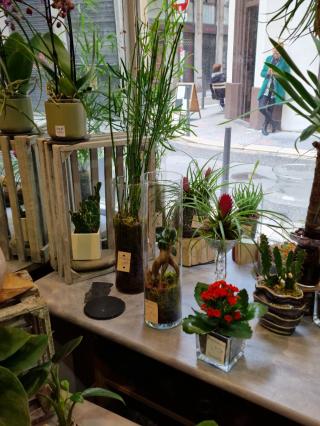 Fleuriste Lotus Fleurs 0