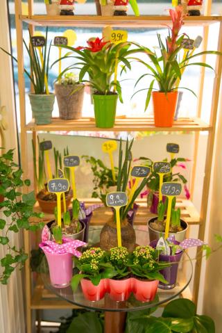 Fleuriste Le Jardin des Fleurs 2