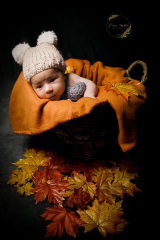 Fleuriste L'iris Studio 1