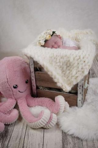 Fleuriste L'iris Studio 0