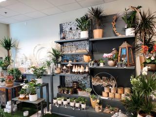 Fleuriste Les Pensées De Camille 0