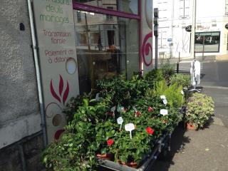 Fleuriste Le Langage Des Fleurs 0