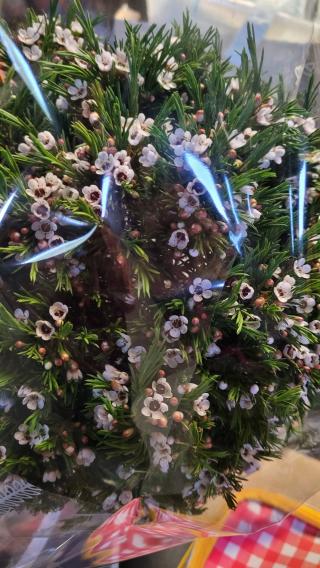 Fleuriste Martine Fleurs 0