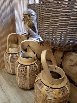 Fleuriste Hélianthus 0