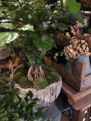 Fleuriste Bleuet Coquelicot 0