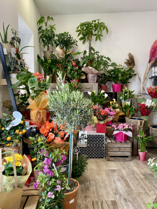 Fleuriste CLAUDE-FLEURS 0